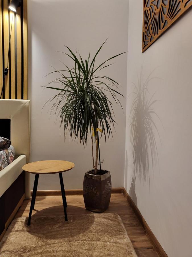 FloreştiArt Houseアパートメント エクステリア 写真